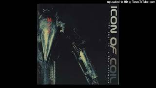 06 Icon of Coil - Everything is real