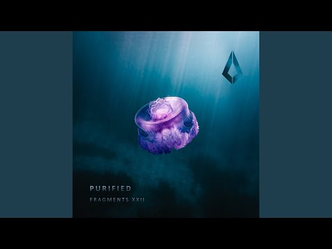 Fighting for Something (Extended Mix)