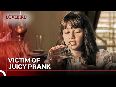 He Humiliated His Cousin Out Of Jealousy - Lovebird Episode 1