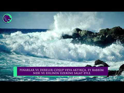 Muhteşem Bir Neşid! Mutlaka İzleyin!