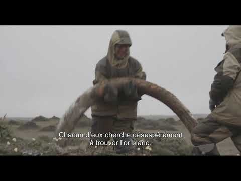 Genesis 2.0 - Bande Annonce VOSTFR