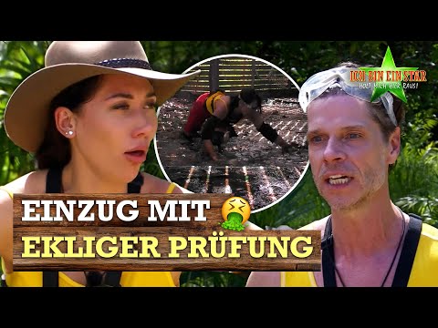 Sterne sammeln im DRECK!? 🤮 Walk-in Prüfung zum Einzug 🐍 | Dschungelcamp 2026