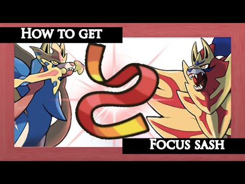 Where to get the focus sash item - Pokemon Sword/Shield