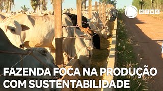 Miniatura do vídeo