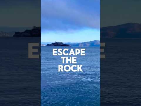 Swim Alcatraz #wildswimming #alcatraz #sanfrancisco #escapetheroutine