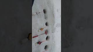 Зимняя рыбалка на клязьминское водохранилище