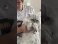casper is also can’t let go of psl szn 🤧
