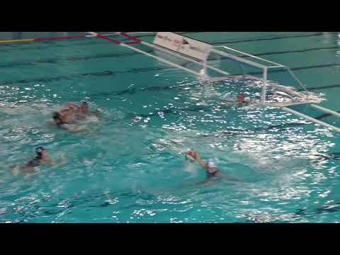 Pallanuoto Trieste vs Acquachiara (23 giugno 2019)