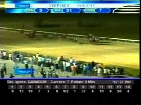 Viernes, 18 de Febrero de 2011 - Valencia