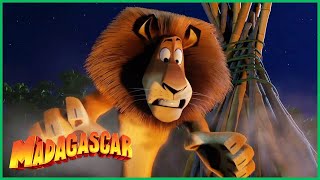 Fogo por Todos os Lados! | DreamWorks Madagascar em Português