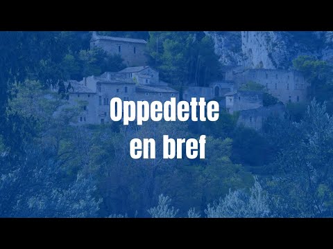 Video vignette