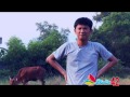 KELAKAR BETOK SAPI NAIK MOBIL DAUS MIKO