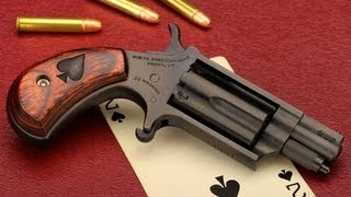 NAA blackjack 22 MAG revolver