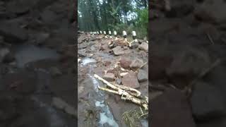 Download lagu curug cantel bumijawa tegal jateng lngsor parah!!!!🔧🔧🔧🔧🔧 mp3 Download lagu curug cantel bumijawa tegal jateng lngsor parah!!!!🔧🔧🔧🔧🔧 mp3