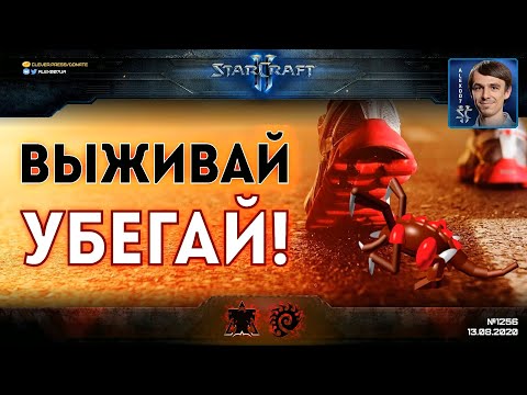 БЕГСТВО БЕЗ ОГЛЯДКИ: Великое переселение зергов на Golden Wall - Bly vs uThermal в StarCraft II
