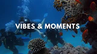 Katy Perry feat. Nicki Minaj - Swish Swish (Cheat Codes remix)