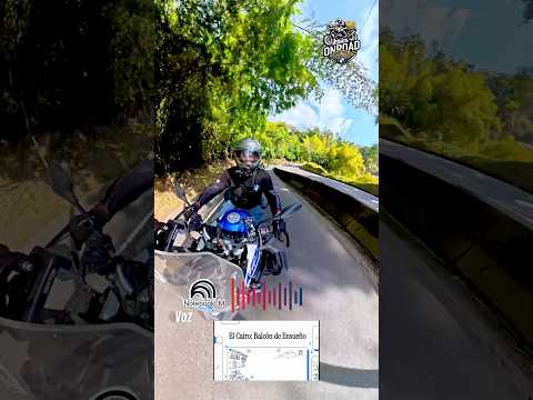 Rumbo al Cairo Valle con NotebookLM