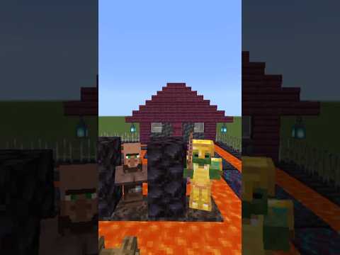 Villager Outsmarts Enchanted Zombie! #shocking