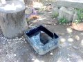 Burung Wak Wak Denak MP4