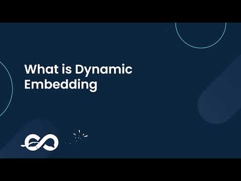 What is Dynamic Embedding
