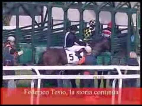 Premio Federico Tesio 2013