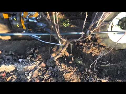 Silvio Santoro - New Holland T4.95N - Orizzonti Energy Dual/S - Celli Go 150