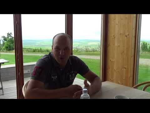 SWOT Interview - 1 - AMB Wine Company SRL - Romania