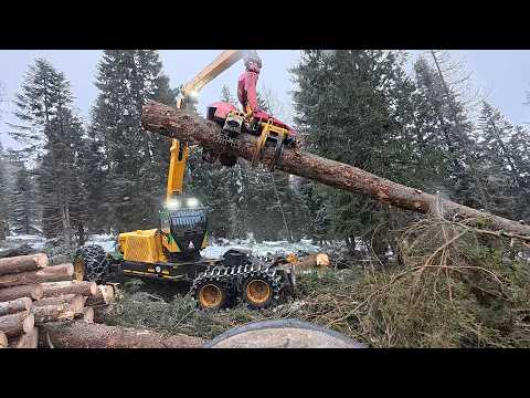 🌲 powercutting 🌲 forest peg - Highlander - Husky 564 XP [ 2 : # ]