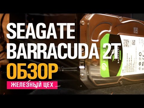 Kietasis diskas HDD Seagate BarraCuda 2TB video