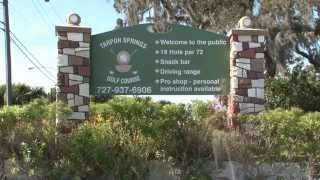 preview picture of video 'Tarpon Springs Municipal Golf Course Virtual Tour'