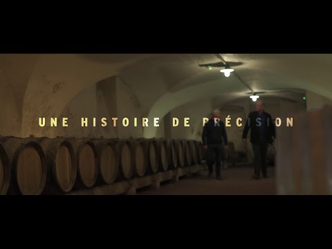 L'élaboration du Beaujolais Nouveau - Une histoire de précision