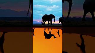 Award-Winning Azamara Cruises - The Art of Small-Ship Cruising