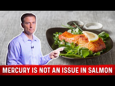 1 Top Food to Burn your Belly Fat – Dr Berg on Fat Burning Foods