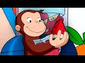 Fazendo Suco De Frutas George O Curioso Desenhos Animados