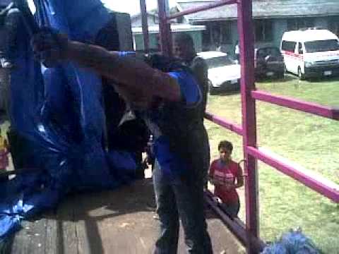 Dj Nicholas at Wolmers