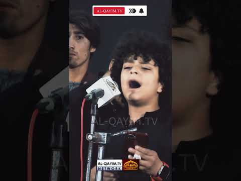 Teri Zahra Pe Musibat || Ali Kazim || Mir Hasan Mir || Ayyam-e-Fatimiyah Noha || 2024 | Nishtar Park