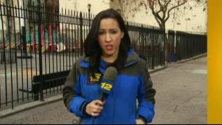 2 Menorahs Vandalized in Park Slope, Brooklyn