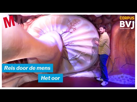 Reis door de mens: het oor | Biologie voor jou | Malmberg