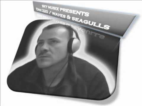 erix220 - waves & seagulls (in.ex. remix)