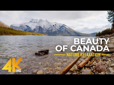 Beautiful Early Winter Landscapes and Wildlife of Canada - Nature Relaxation Film in 4K UHD