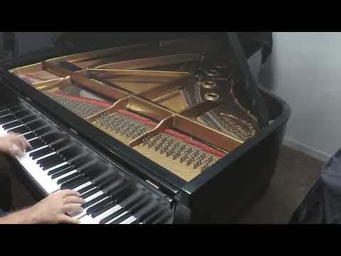 1950 Steinway & Sons Model B - 6'11" Grand Piano Exceptional Value image 16