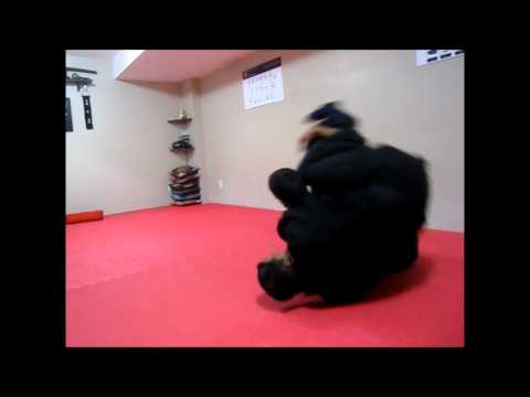 Kage Musha Dojo- Stopping Kicks & Crucifixion