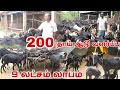 200 தாய் ஆடு வளர்ப்பு 9 லட்சம் லாபம் சம்�