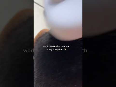 Goodbye thick shedded fur all over my house! Definitely recommend!