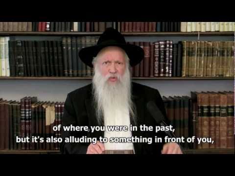 Parshat Metzora 5771 ● Making of a Remedy ● Harav Yitzchak Ginsburgh