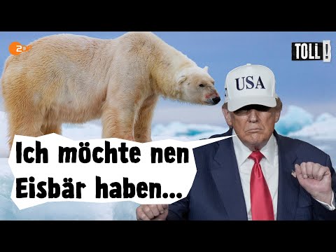 Video Thumbnail: Trump will Grönland | Satire Toll!
