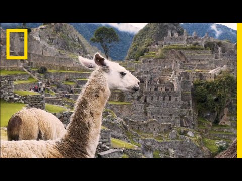 Experience the Sheer Beauty of Peru