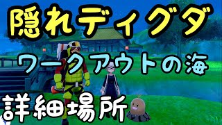 ポケモン剣盾　隠れディグダ　詳細場所　ワークアウトの海