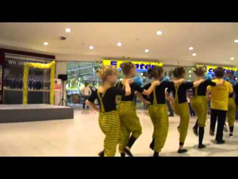 Ensemble Pfiffikus - Die Bienchen.wmv