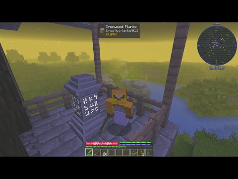 TerraFirmaCraft Reloaded 2 - Ep5 - Dungeon Master